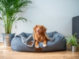 How to Choose the Right Bed for Your Cat or Dog